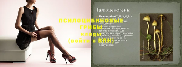 spice Алексин